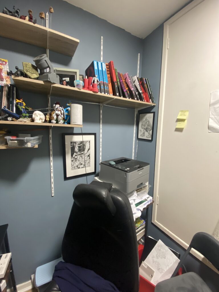 To the right, books shelves, laser printer